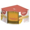 Bolsius Geurglas 50/80 True Scents Mango
