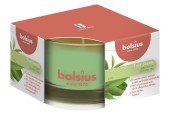 Bolsius Verre Parfumé 50/80 True Scents Thé Vert