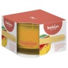 Bolsius Geurglas 63/90 True Scents Mango