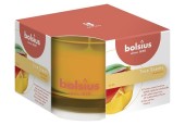 Bolsius Geurglas 63/90 True Scents Mango