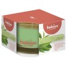 Bolsius Verre Parfumé 63/90 True Scents Thé Vert
