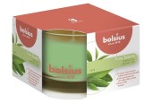 Bolsius Verre Parfumé 63/90 True Scents Thé Vert