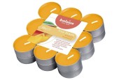 Les bougies chauffe-plat parfumées Bolsius 4 heures contiennent un 18ème True Scents Mangue