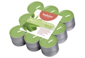 Bolsius Geurtheelichten 4 uur pak a 18st True Scents Green Tea