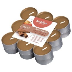 Bolsius Geurtheelichten 4 uur pak a 18st True Scents Apple Cinnamon