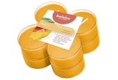 Bolsius Geur maxitheelichten 8 uur pak a 8st True Scents Mango