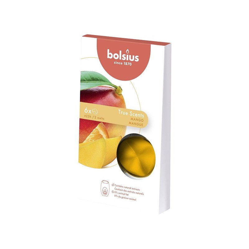 Bolsius Cire Parfumée Meltable Pack de 6 True Scents Mangue