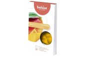 Bolsius Cire Parfumée Meltable Pack de 6 True Scents Mangue