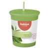 Bolsius Gegeurde Votive 53/45 True Scents Green Tea pak a 12 stuks