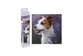 Grafix Peinture diamant - Chien 30x30cm