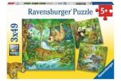 Puzzle Ravensburger Dans la jungle 3x49 pièces