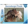 Ravensburger puzzle Beaux chevaux 150 pièces XXL