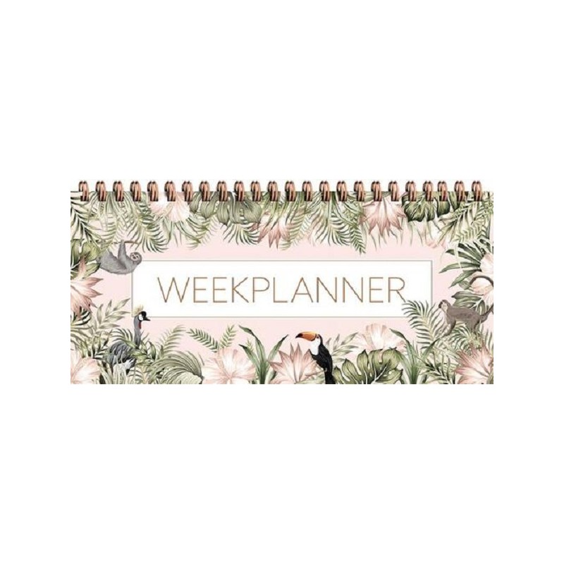 Planificateur hebdomadaire Deltas