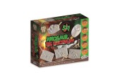 Grafix Dino fossielen uitbikken 5-in-1