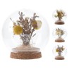 Fleurs séchées en boule de verre Ø11x11,5cm