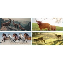 Affiche de jardin 110x45cm avec matériel de montage