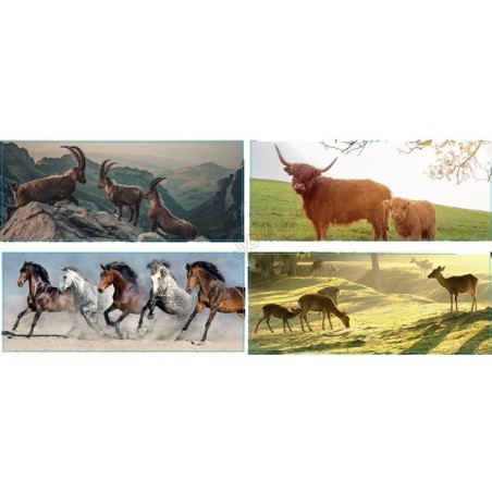 Tuinposter 110x45cm inclusief  bevestigingsmateriaal