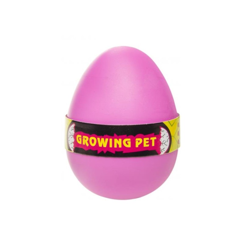 Oeuf de croissance Chouette en boîte