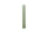 Decoris Bougie en cire Ø2,15-H30cm lot de 2 vert menthe