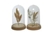 Verre dôme Decoris Ø12-H19cm avec fleurs séchées