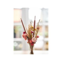 Dijk Natural Collections Paquet Fleurs séchées rose 36x23,5x3cm