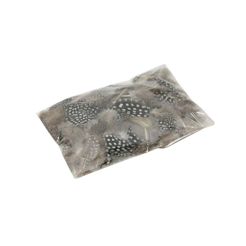 Pintade Basic Feathers en vrac dans un sachet
