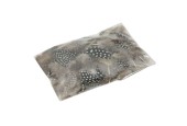 Pintade Basic Feathers en vrac dans un sachet