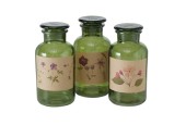 Boltze Home Apothekersfles Glas Drya Ø10xh22cm Groen