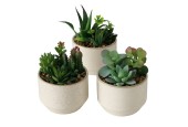 Boltze Home Plante en pot en grès Lakuro Ø10x17cm
