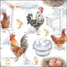 Ambiente Serviettes Poulet Ferme 25cm 20 pcs