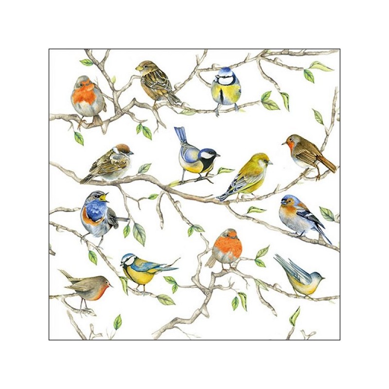 Ambiente Servetten Birds Meeting 33cm 20 stuks