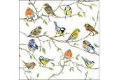 Ambiente Servetten Birds Meeting 33cm 20 stuks