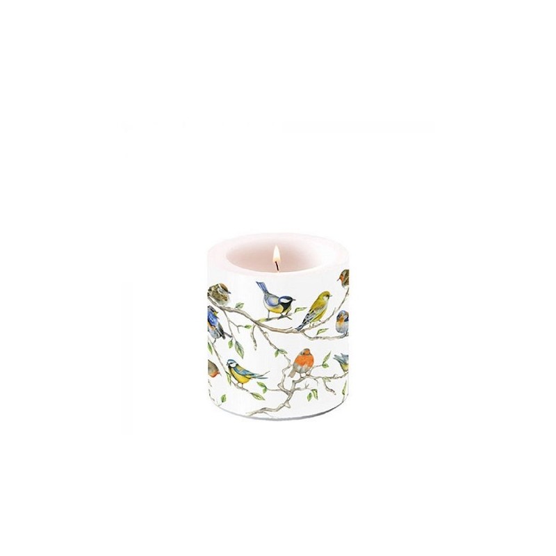 Ambiente Kaars klein Birds Meeting Ø7,5xh8cm Paraffine