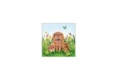 Ambiente Servetten Rabbit Family 33cm 20 Stuks