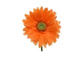 Decoris Gerbera polyester dia10-H50cm