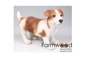 Tuinbeeld Hond jack russel bruin 39x18x26cm