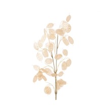 Decoris Kunstbloem Silver Dollar Parelkleur