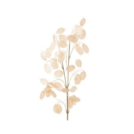Decoris Kunstbloem Silver Dollar Parelkleur