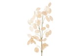 Decoris Kunstbloem Silver Dollar Parelkleur