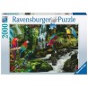 Ravensburger Puzzle perroquets colorés dans la jungle 2000 pièces