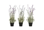 Decoris Kunstplant Lavendel 14x14x46cm