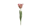 Decoris Tulp op steel polyester 13x10x68cm rood/wit