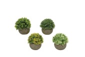 Decoris Kunstplant in pot dia12x13cm 3 assorti