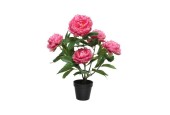 Decoris Kunstplant Pioenroos in pot polyester 41x47x57cm fuchsia