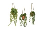 Decoris Kunststof Hangplant in pot polyester 10x10x40cm 3 assorti