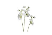 Decoris Kunstbloem Lathyrus polyester 18x5x60cm wit