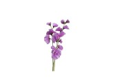Decoris Kunstbloem Lathyrus polyester 18x5x60cm paars