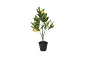Decoris Citroen boom in pot polyester dia.24x60cm