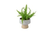 Decoris Kunstplant Varen in pot kunststof pot dia15.30 15,3x15,3x24cm groen