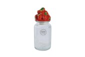 Decoris Voorraadpot Aardbei van glas/aardewrk dia11x26,5cm